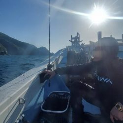 ヤリイカメタル