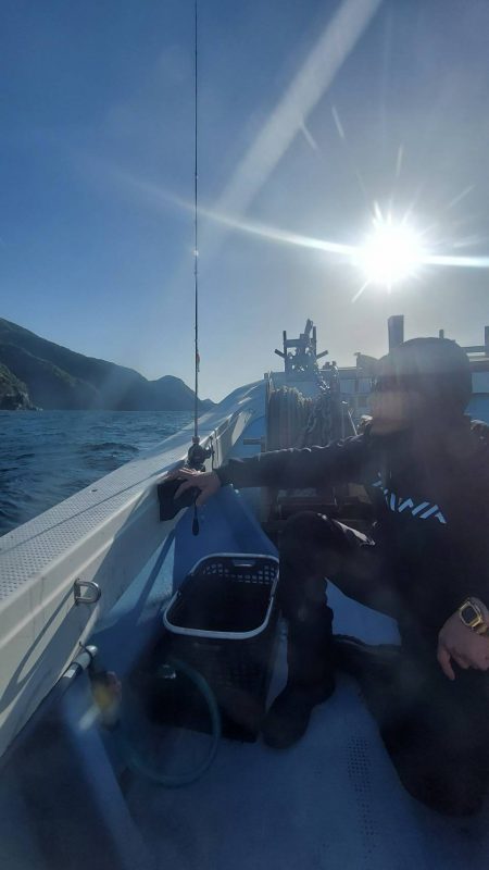 ヤリイカメタル