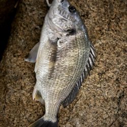 GWはどうでしょう？