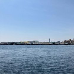 今年初の落とし込みは成功！