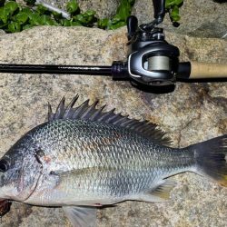 淀川ブリームゲーム