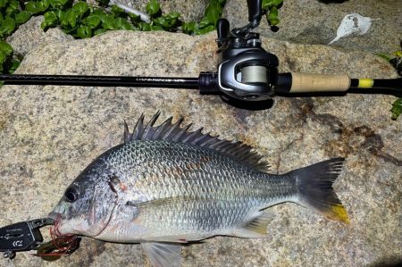 淀川ブリームゲーム