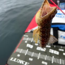 サップフィッシング