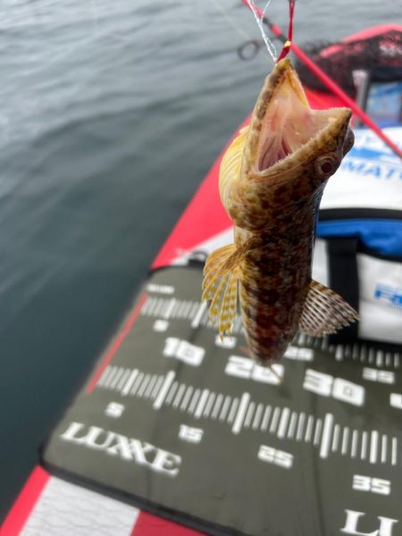 サップフィッシング