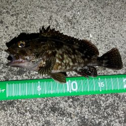 ライトワインド