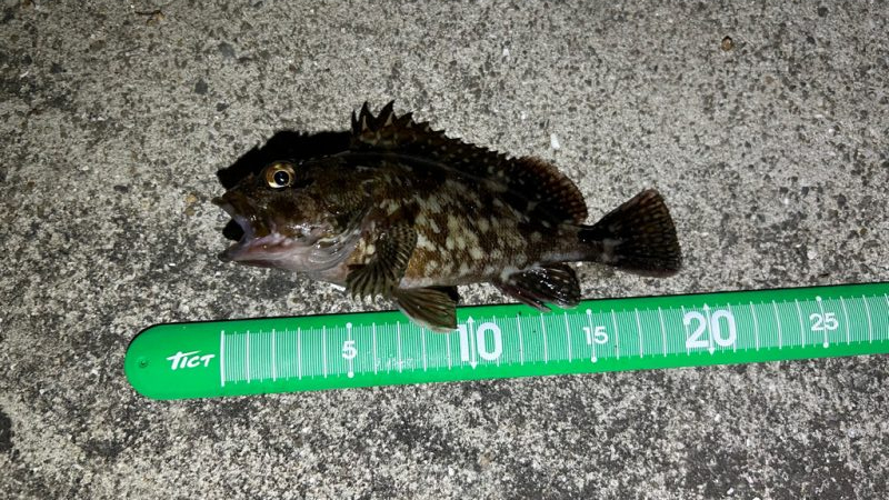 ライトワインド