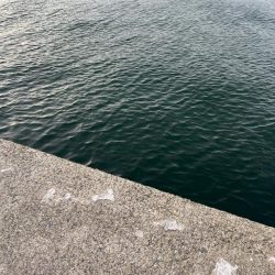 風マシなところで