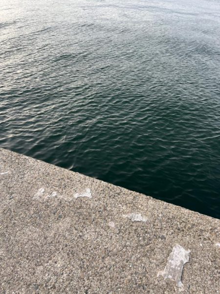 風マシなところで