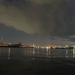 マニックに食ってきた！