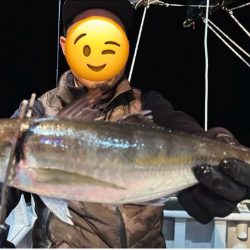 ナイトバチコン