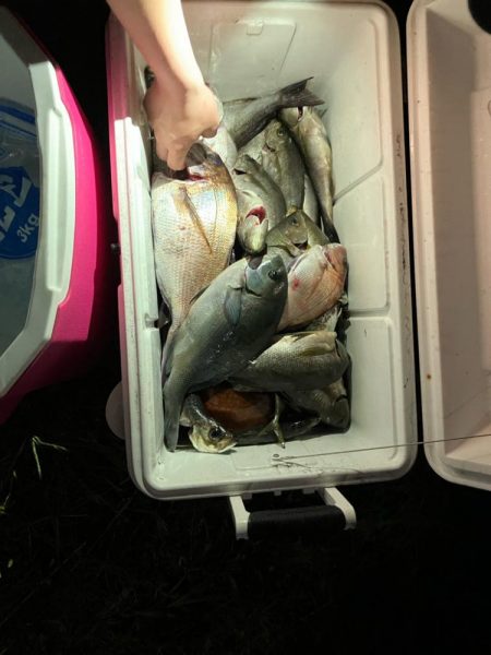 初のエサ釣り(イサキ)