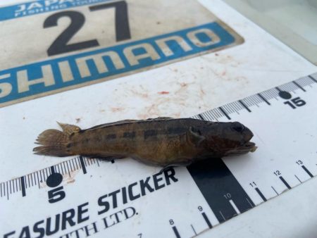 シロギスタ出陣