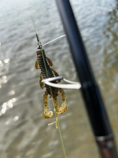 今年3枚目！(笑)