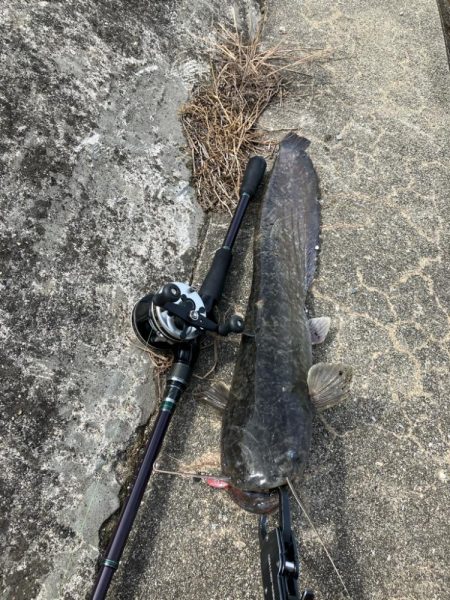 雨の後は良く釣れる