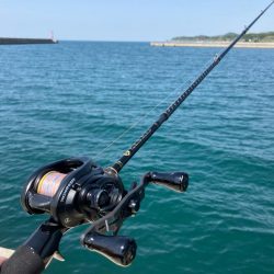 昼からのキス釣り