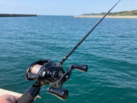 昼からのキス釣り