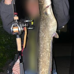 手長エビ掬いとナマズ釣り