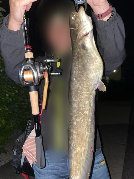 手長エビ掬いとナマズ釣り