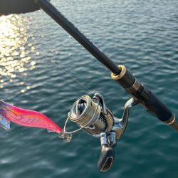 ナイトから朝マズメエギング