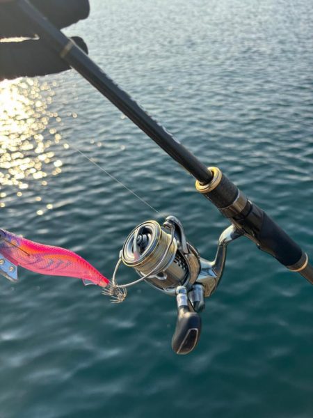 ナイトから朝マズメエギング