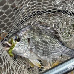 淀川　場所ムラがすごい