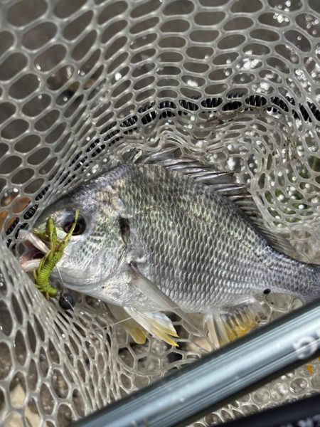 淀川　場所ムラがすごい