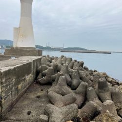 昼からのちょい投げ