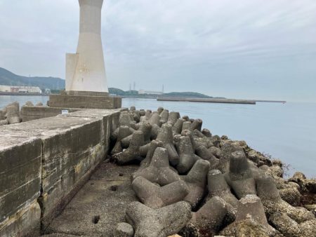 昼からのちょい投げ