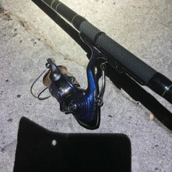 東二見メバル19