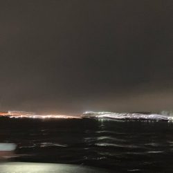 カラダの半分近くもあるルアーを食ってきた