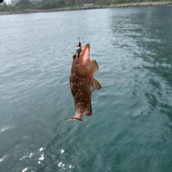 下津井 真鯛フカセ