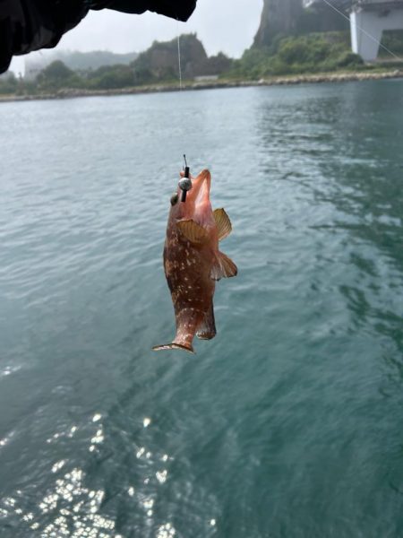 下津井 真鯛フカセ