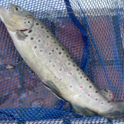 多摩湖フィッシングエリア