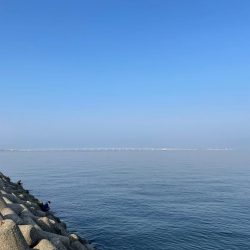 ライトゲーム…