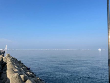 ライトゲーム…