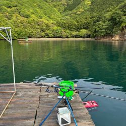 自己記録更新2485g‼️