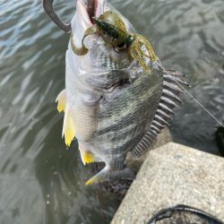 当たりは多いが