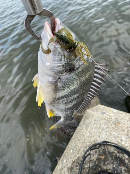 当たりは多いが