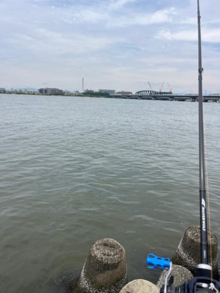 本日2回戦目は淀川で！