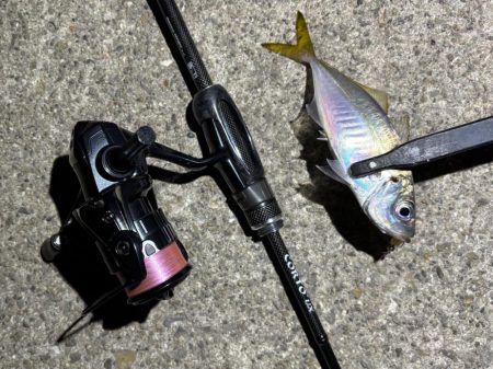 43cmのビッグな外道!