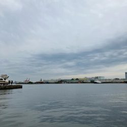 こんな所にもいるんだ⁉︎