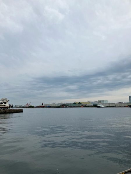 こんな所にもいるんだ⁉︎