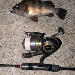 ゴールデンウィーク