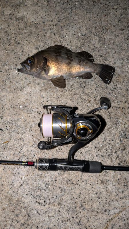 ゴールデンウィーク