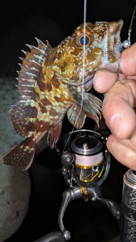 数は出るけど···