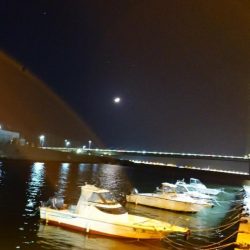 フロートアジング