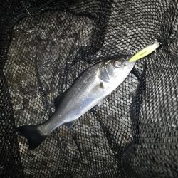 バレるバレる…