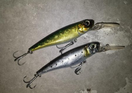 岸壁ノックテクトロでヒット