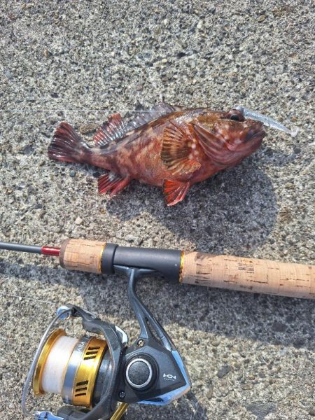 徳島ラスト釣行