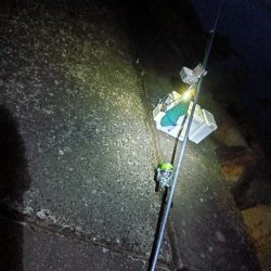 苅屋海岸のキス釣り